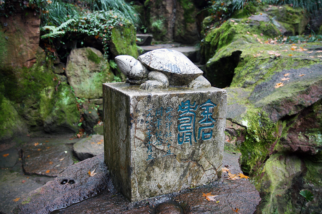 West Lake Turtle