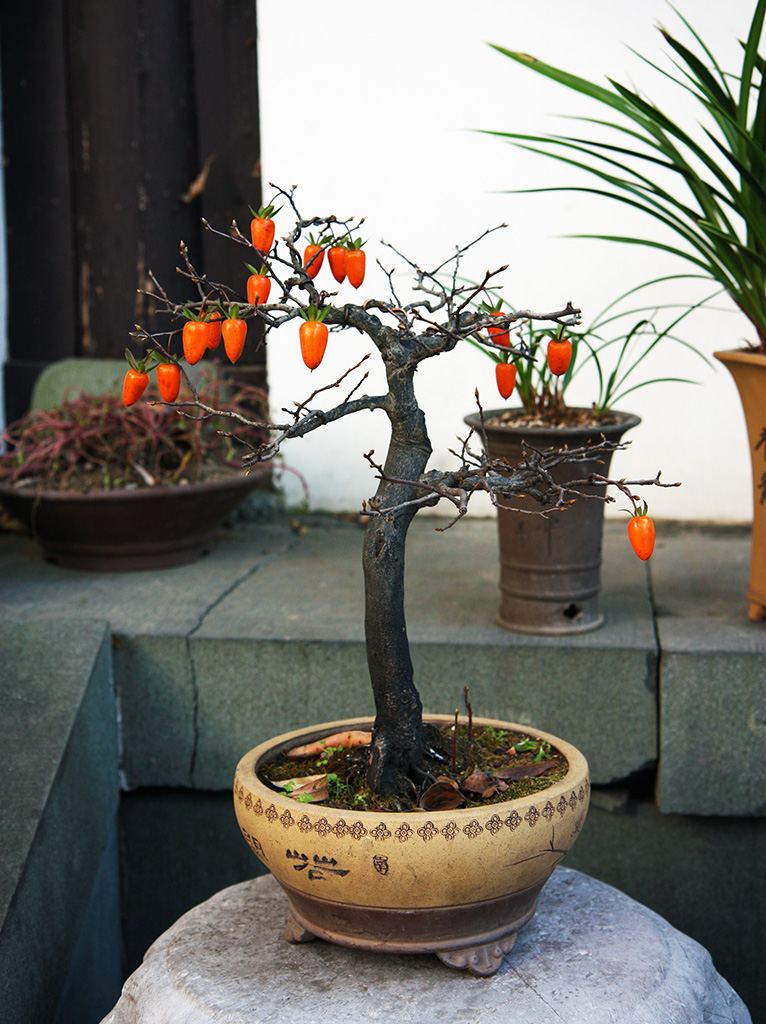 Hangzhou Chili