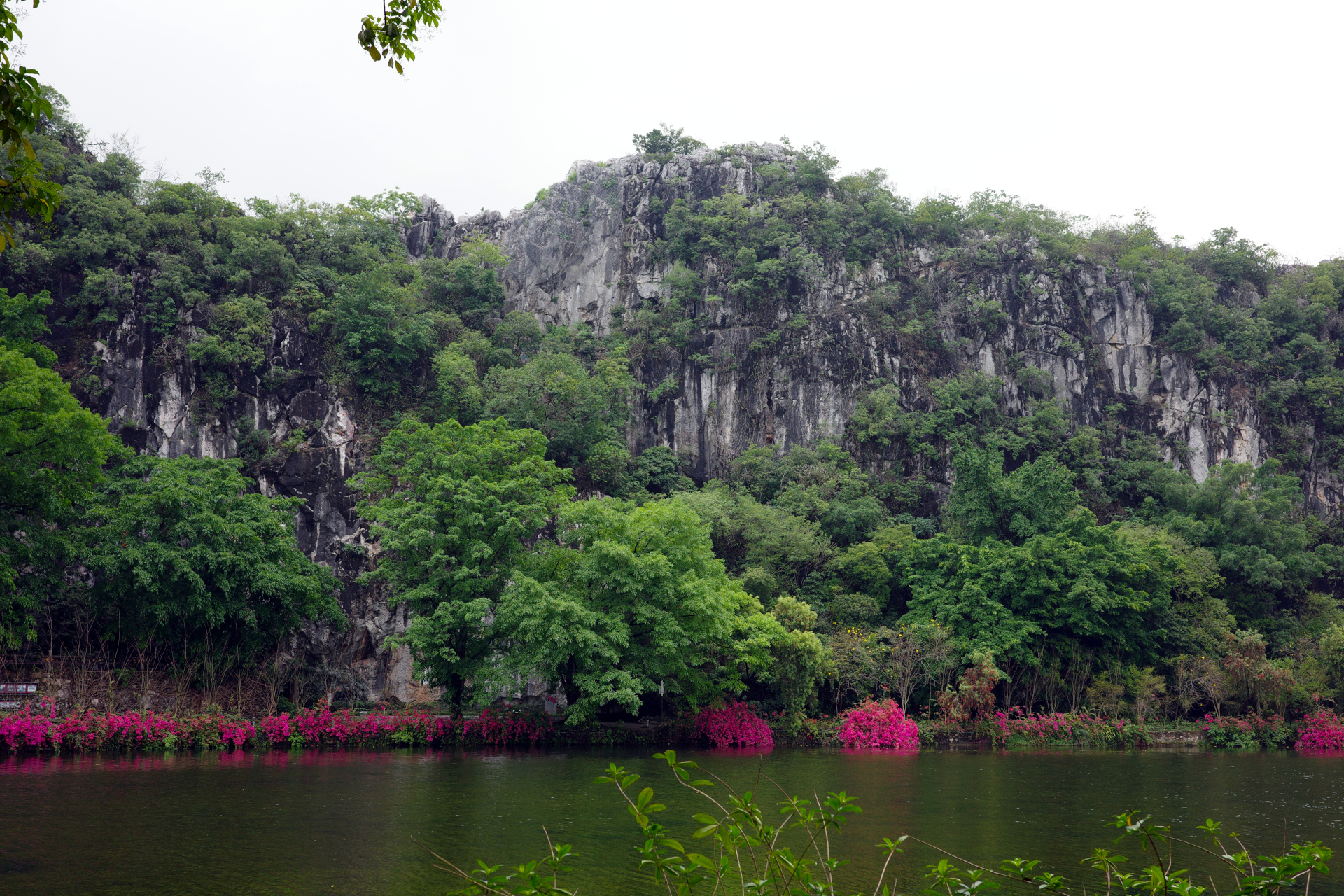 A landscape cliff face