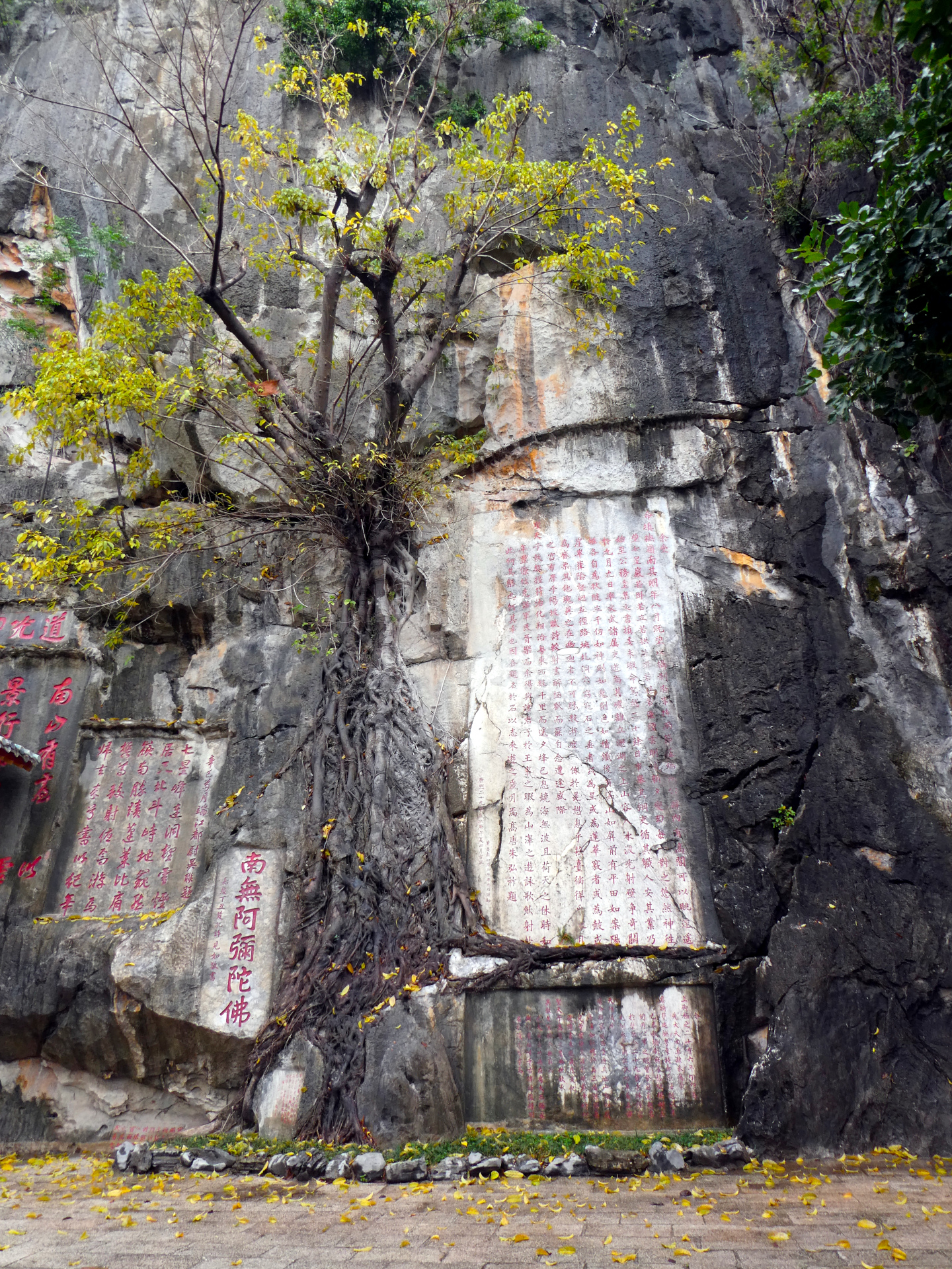 Carvings in a stone wall