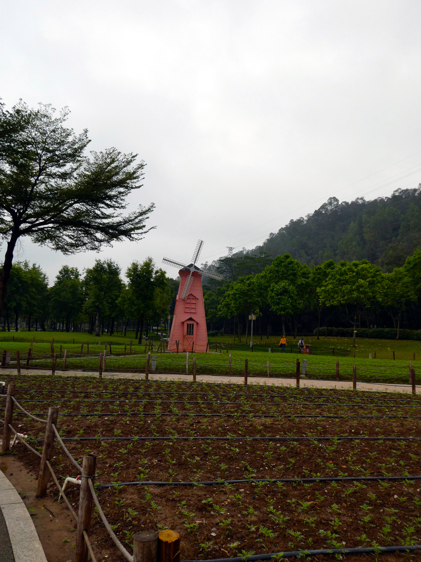 A windmill