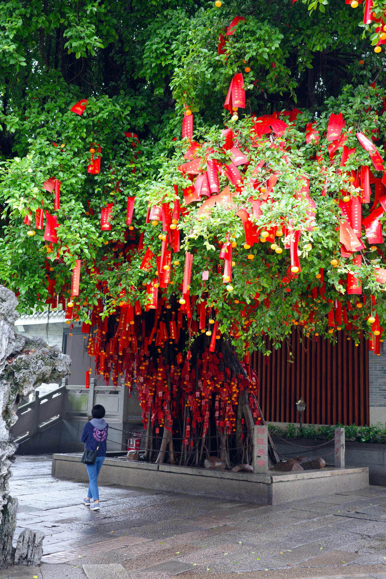 A tree covered in decorations