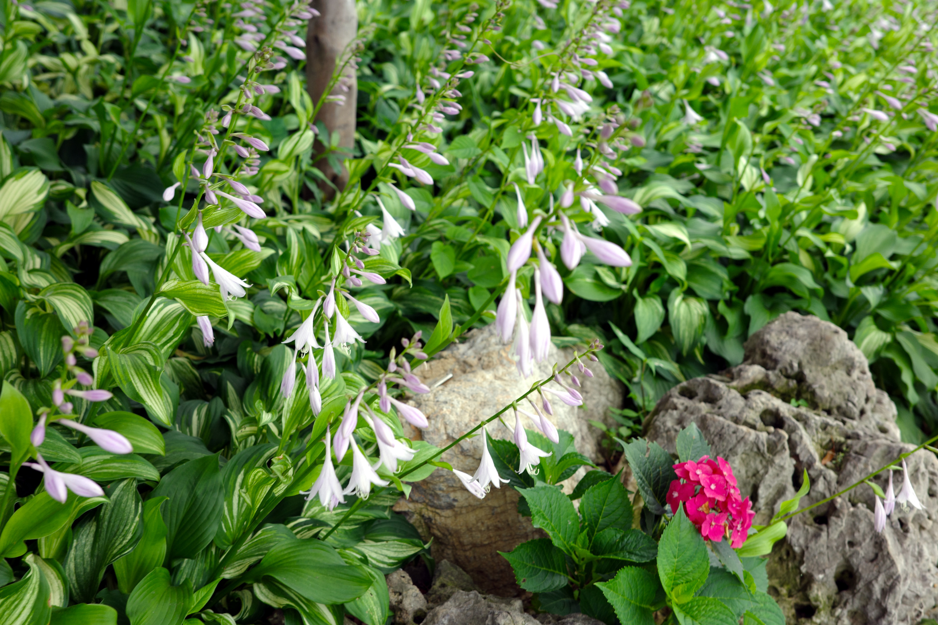 Donghu Scenic Area