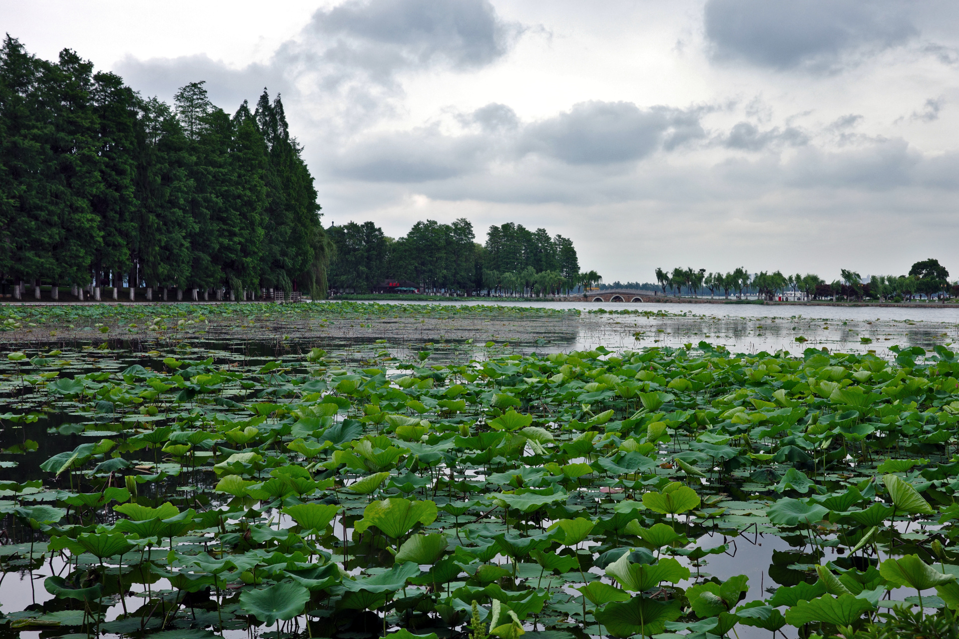 Donghu Scenic Area