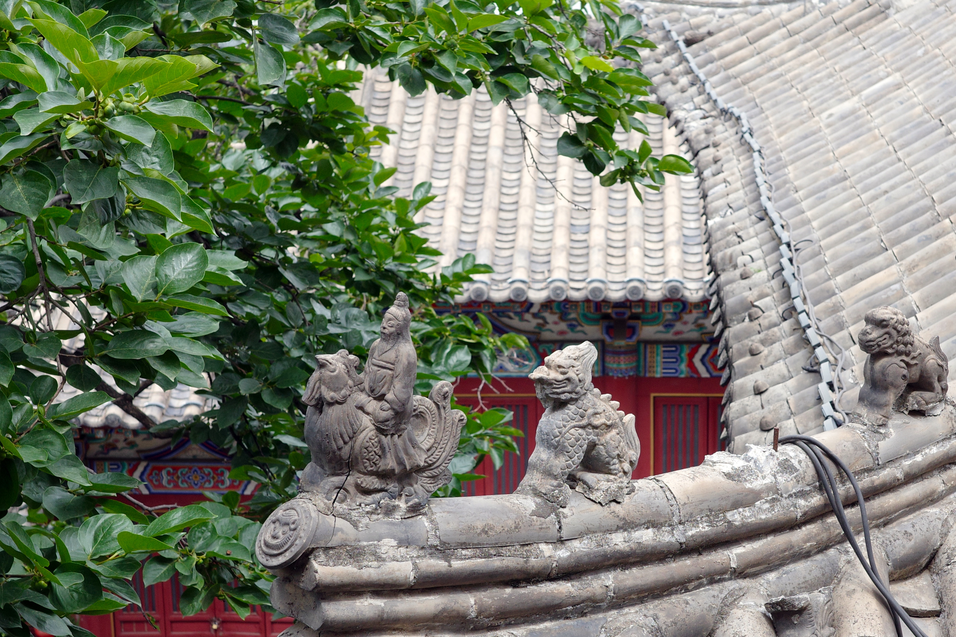 Longmen Grottos