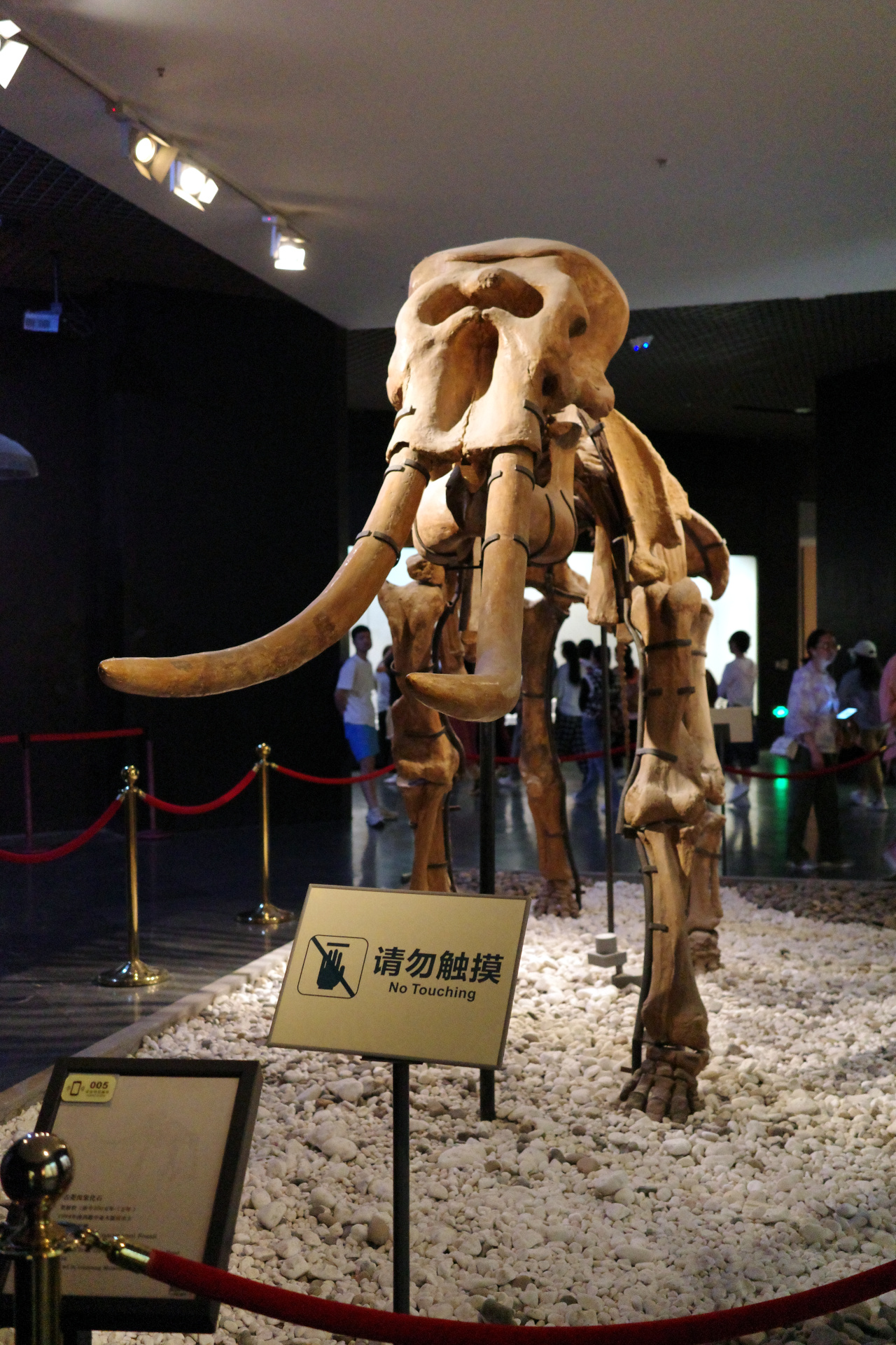 Luoyang Museum