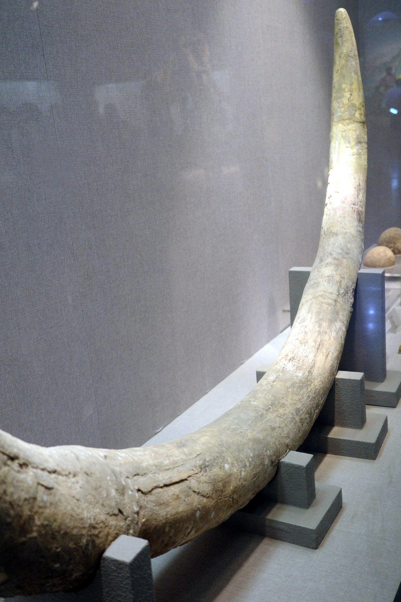 Luoyang Museum