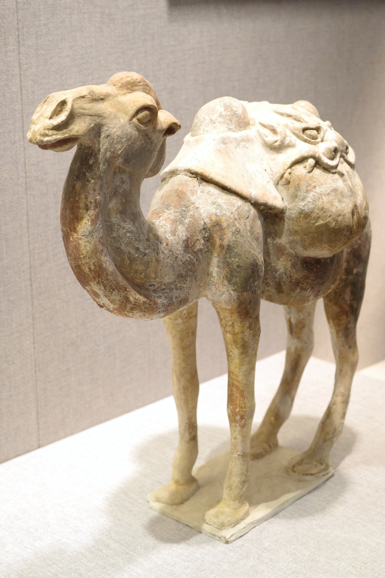 Luoyang Museum