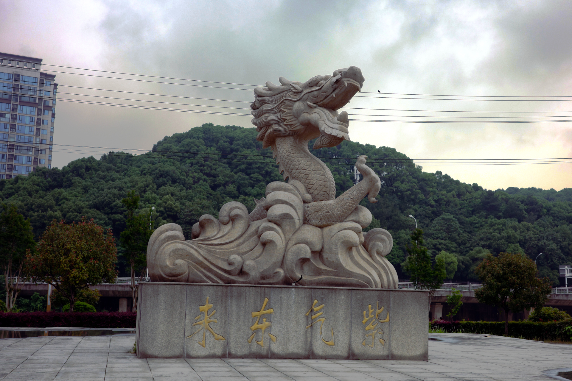 Dragon