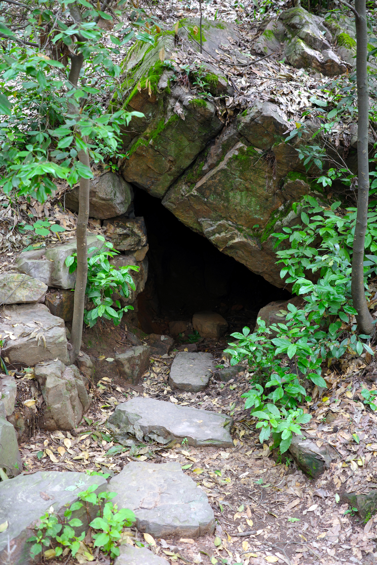 A cave