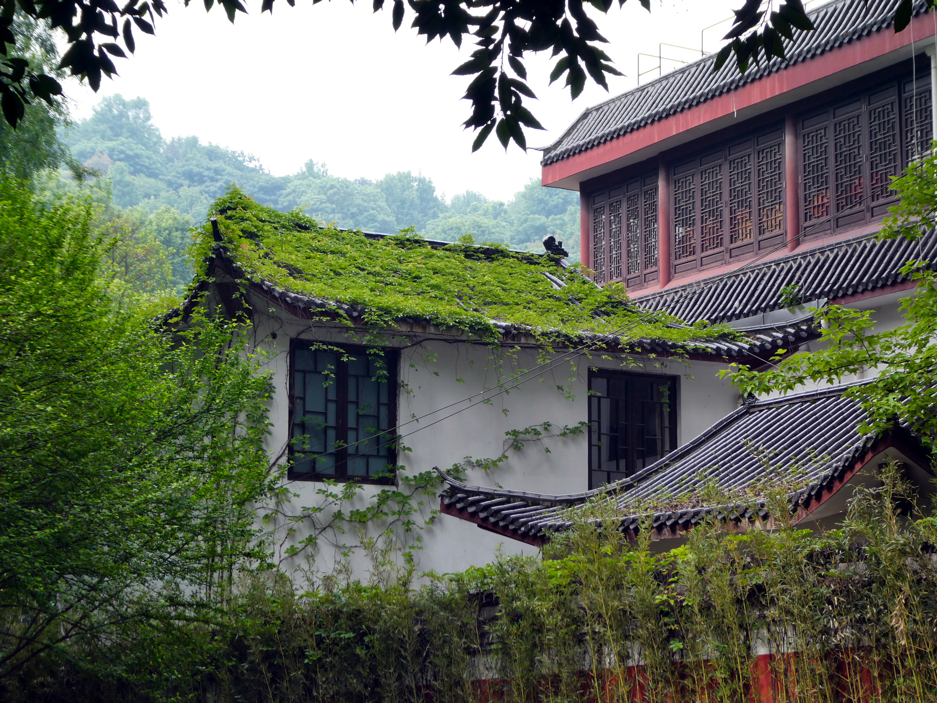 A house