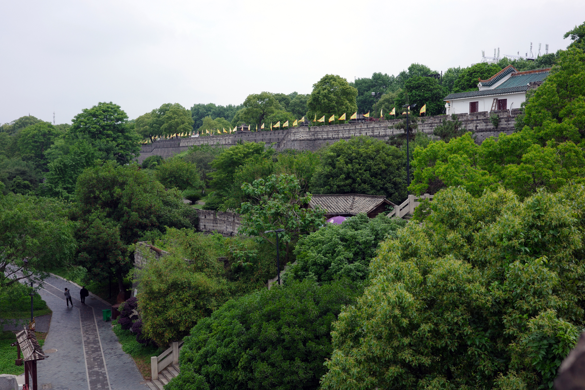Wall
