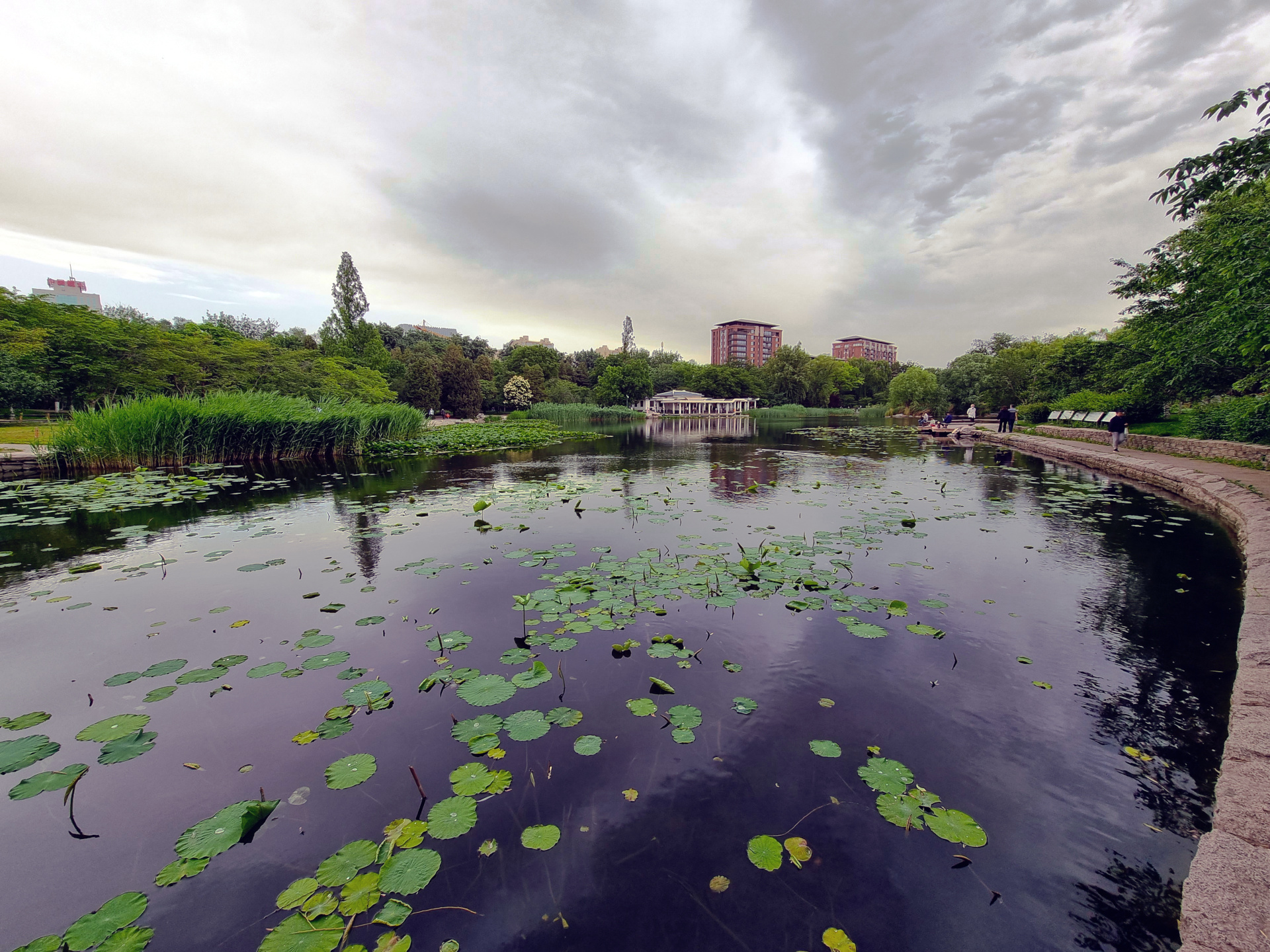 Pond