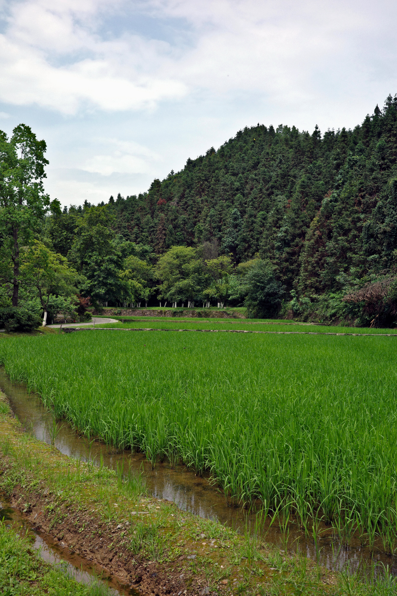 Taohuayuan