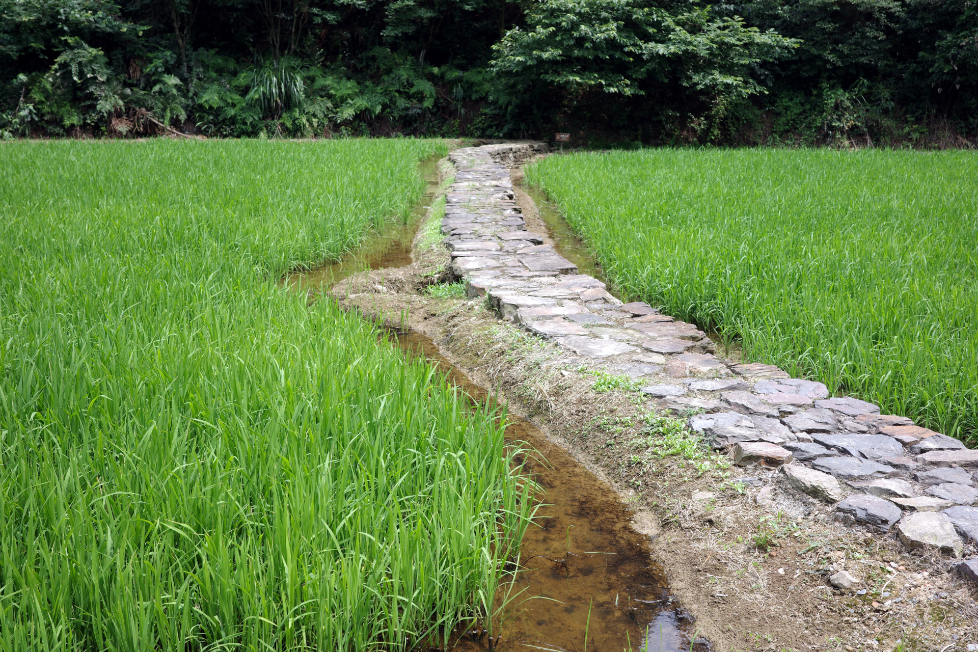 Taohuayuan