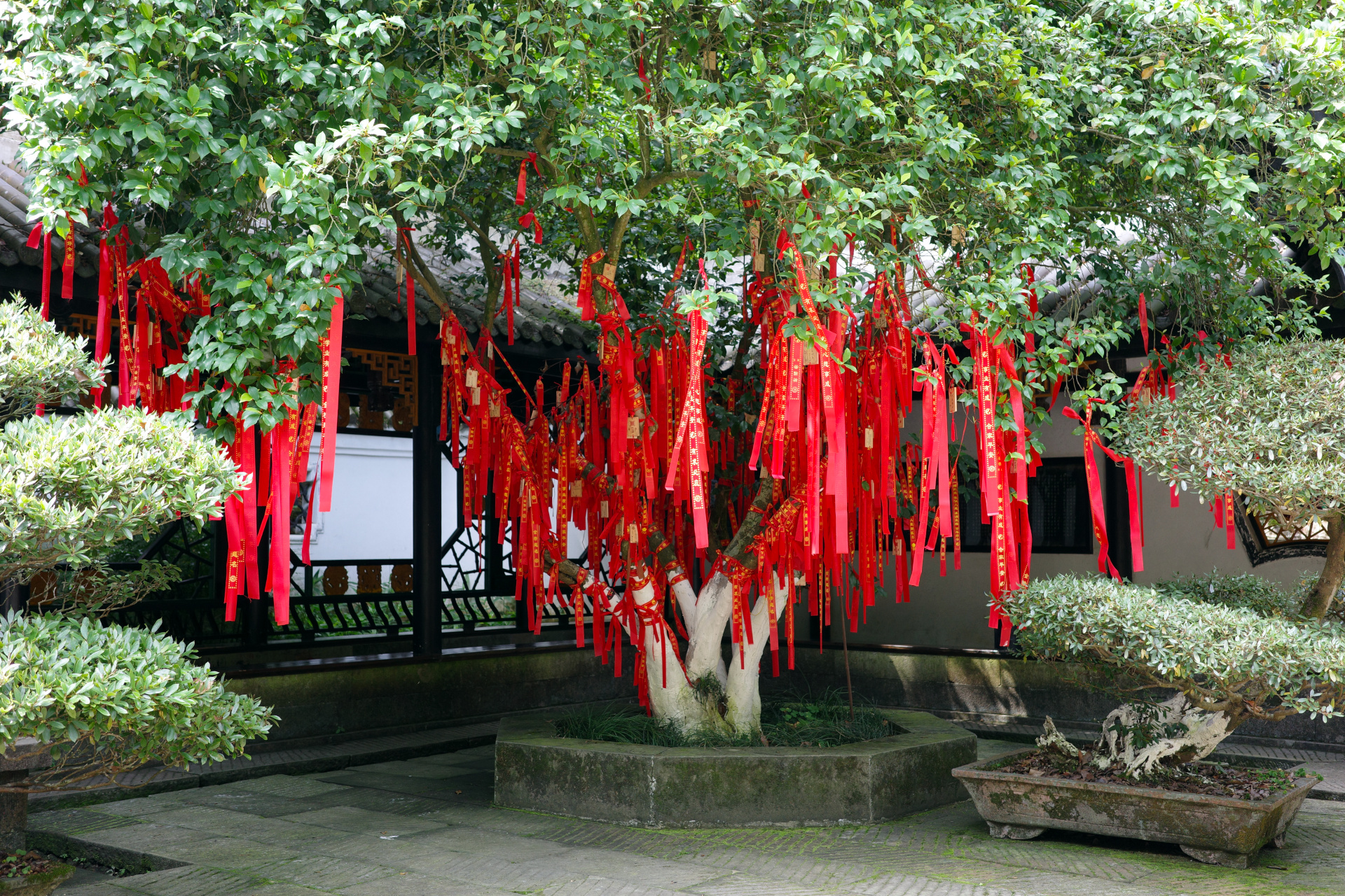 Taohuayuan