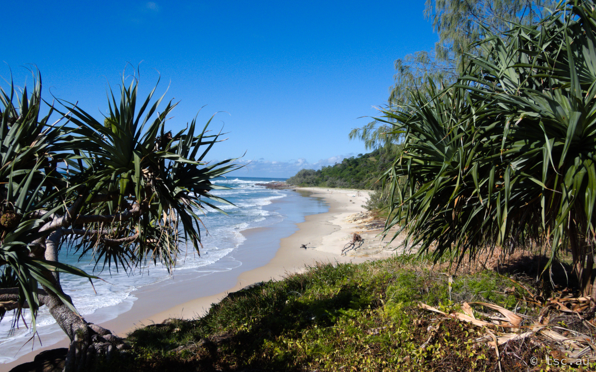 Deadmans Beach